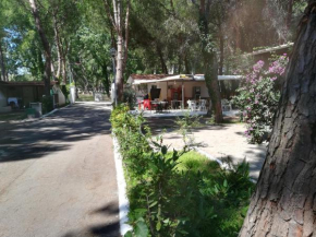Гостиница Parco delle Viole  Пестум